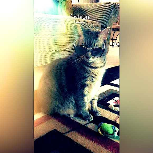 Meet your Posher, Wendy Wethington @tortabella - Picture 13 of 17